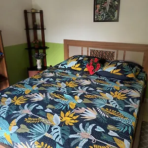  Bed & Breakfast Lovely Flowers In Mount Lavinia